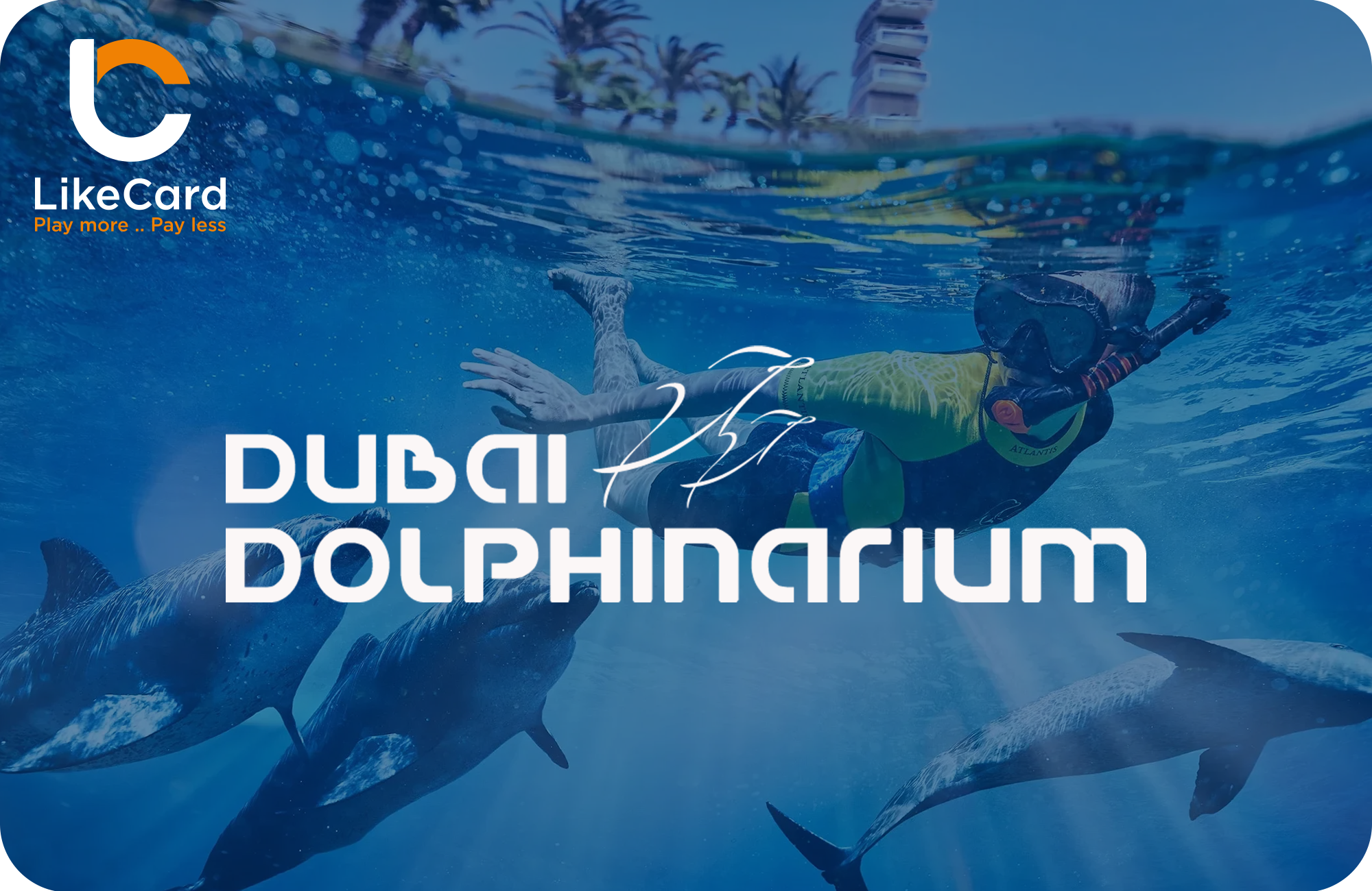 Swimming with Dolphin:Shallow Water 20 mins