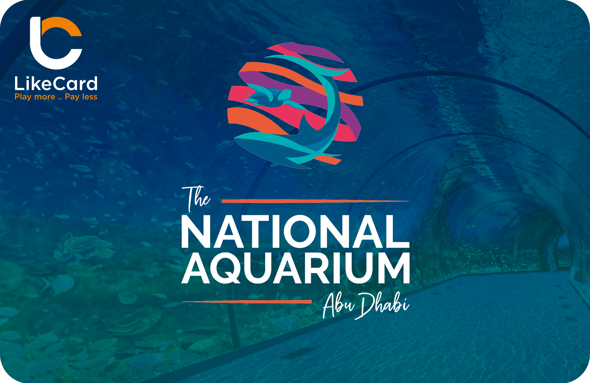 National Aquarium All Access (With Fish Feeding)